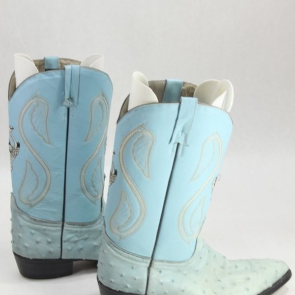 BEAUTIFULL BLUE OSTRICH - Picture 6 of 7